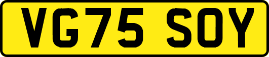 VG75SOY
