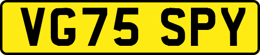 VG75SPY