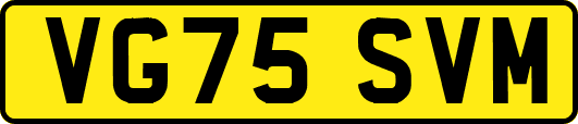 VG75SVM