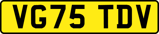 VG75TDV