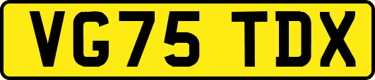 VG75TDX