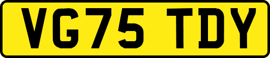 VG75TDY