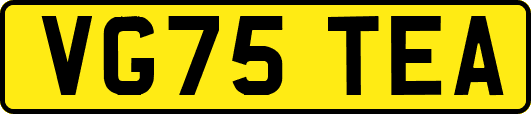 VG75TEA