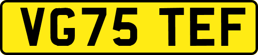 VG75TEF