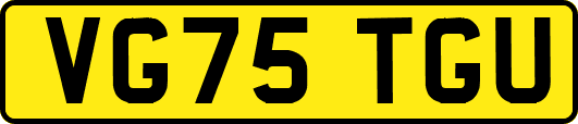 VG75TGU
