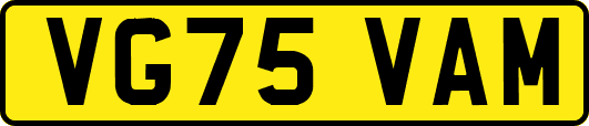 VG75VAM