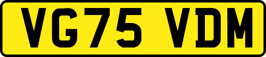 VG75VDM