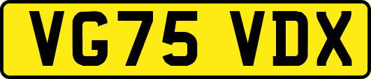 VG75VDX