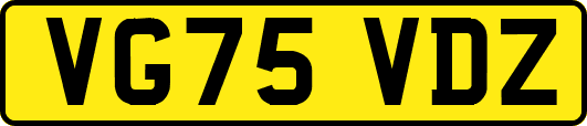 VG75VDZ
