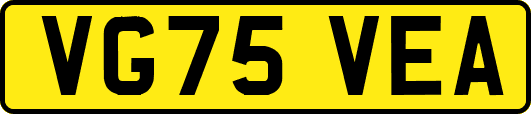 VG75VEA