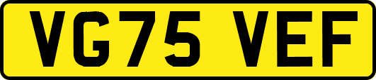 VG75VEF