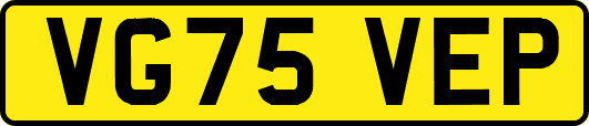 VG75VEP