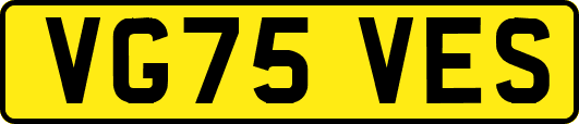 VG75VES