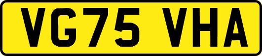 VG75VHA