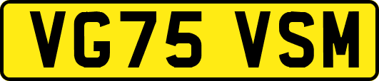 VG75VSM