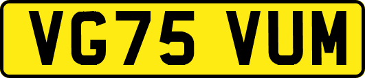 VG75VUM