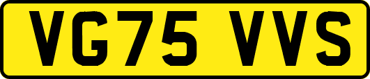 VG75VVS