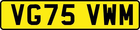 VG75VWM