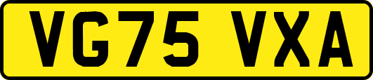 VG75VXA
