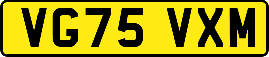 VG75VXM