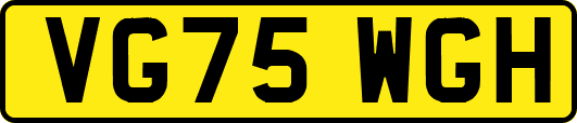 VG75WGH