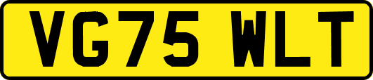 VG75WLT