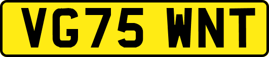 VG75WNT