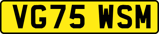 VG75WSM