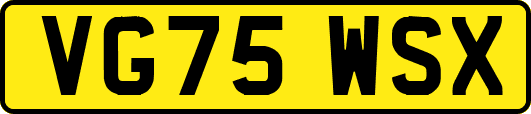 VG75WSX