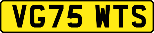 VG75WTS