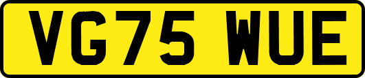 VG75WUE