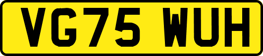 VG75WUH