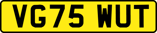VG75WUT