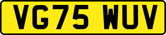 VG75WUV