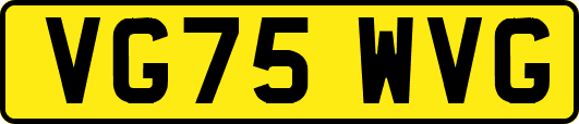 VG75WVG