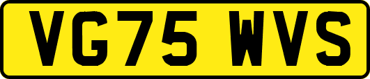 VG75WVS