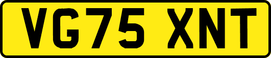 VG75XNT