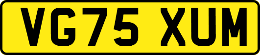 VG75XUM