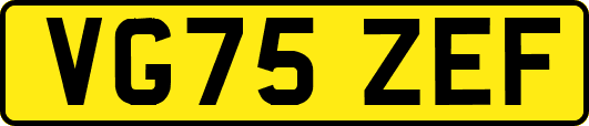 VG75ZEF