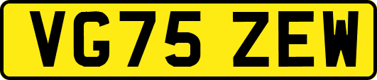VG75ZEW
