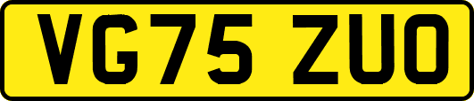 VG75ZUO