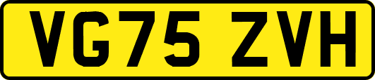 VG75ZVH