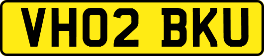VH02BKU