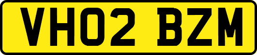 VH02BZM