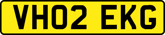 VH02EKG