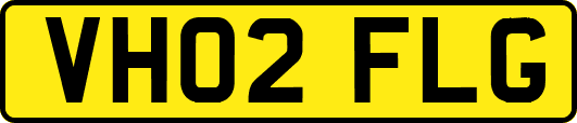 VH02FLG