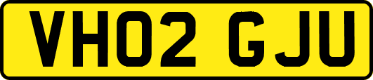 VH02GJU