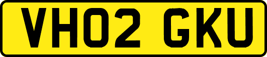 VH02GKU