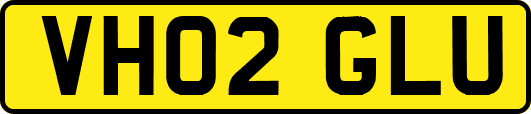 VH02GLU