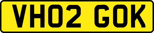 VH02GOK